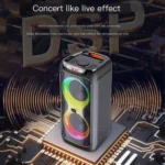 Brodu 2109 Portable Bluetooth Karaoke Speaker with wireless microphone and LED party lights