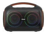 BTS-2439 rechargeable portable Bluetooth karaoke speaker featuring built-in controls, FM radio, and dynamic LED party lights.